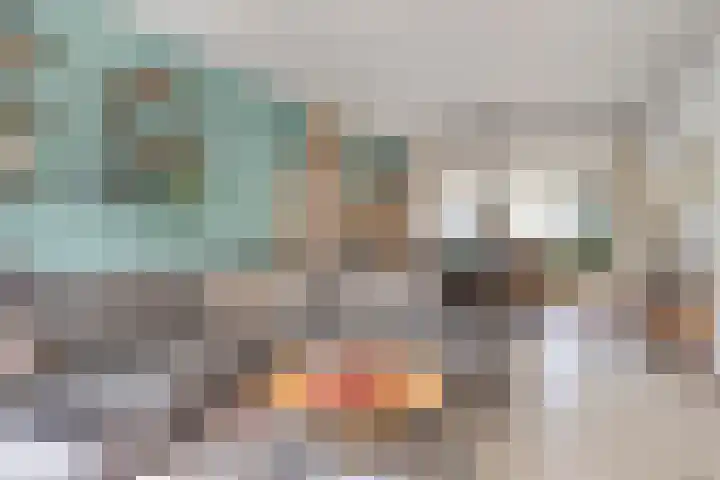 Zilveren Maan 22 Deurne thumbnail 8