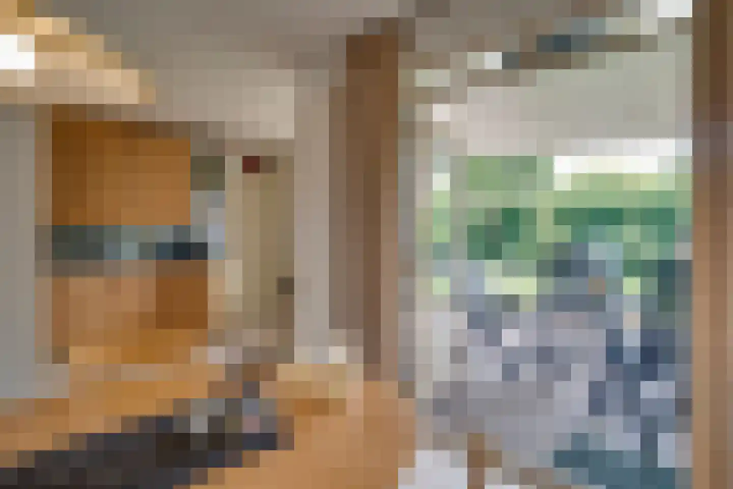 Zilveren Maan 5 Deurne thumbnail 11