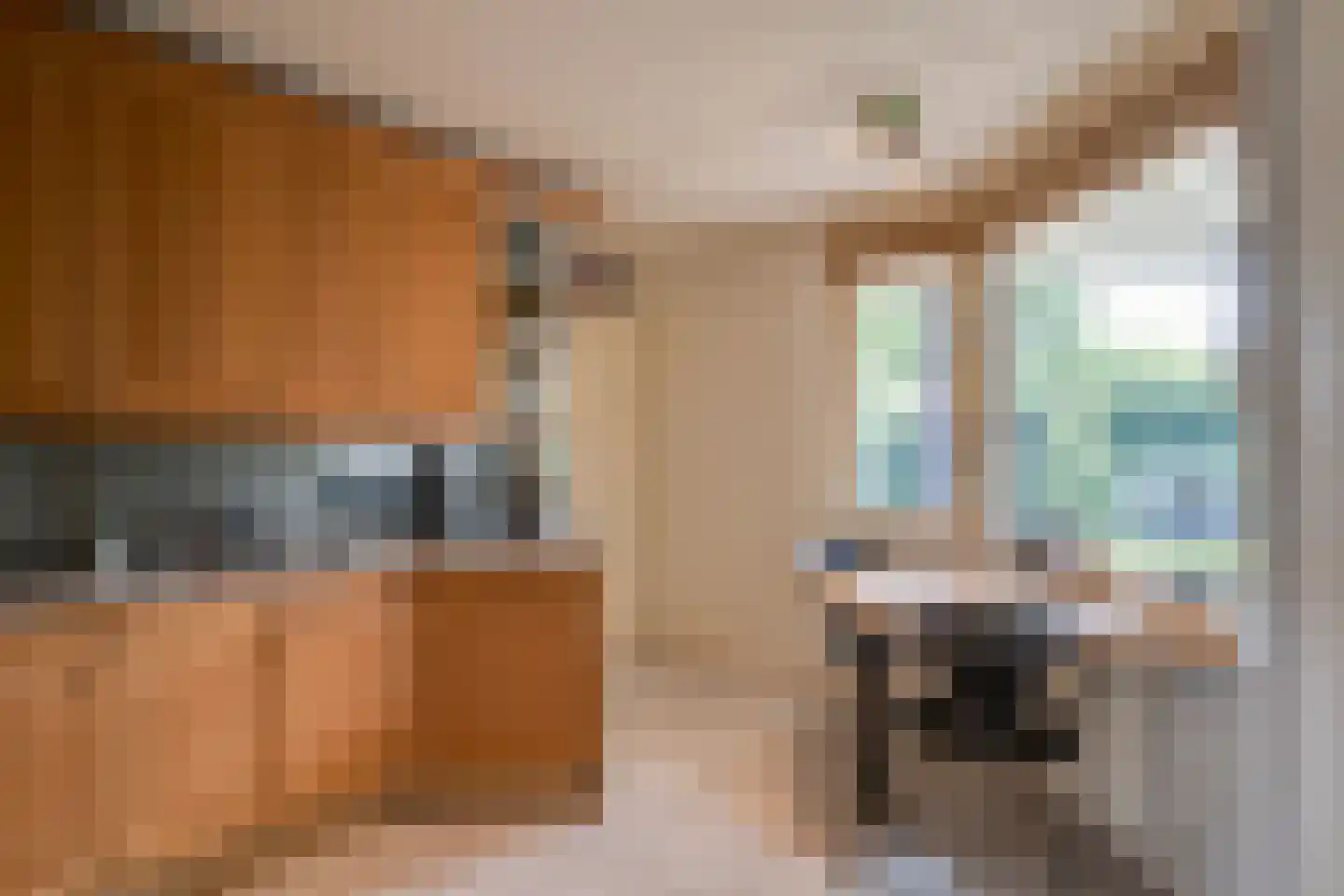 Zilveren Maan 5 Deurne thumbnail 15