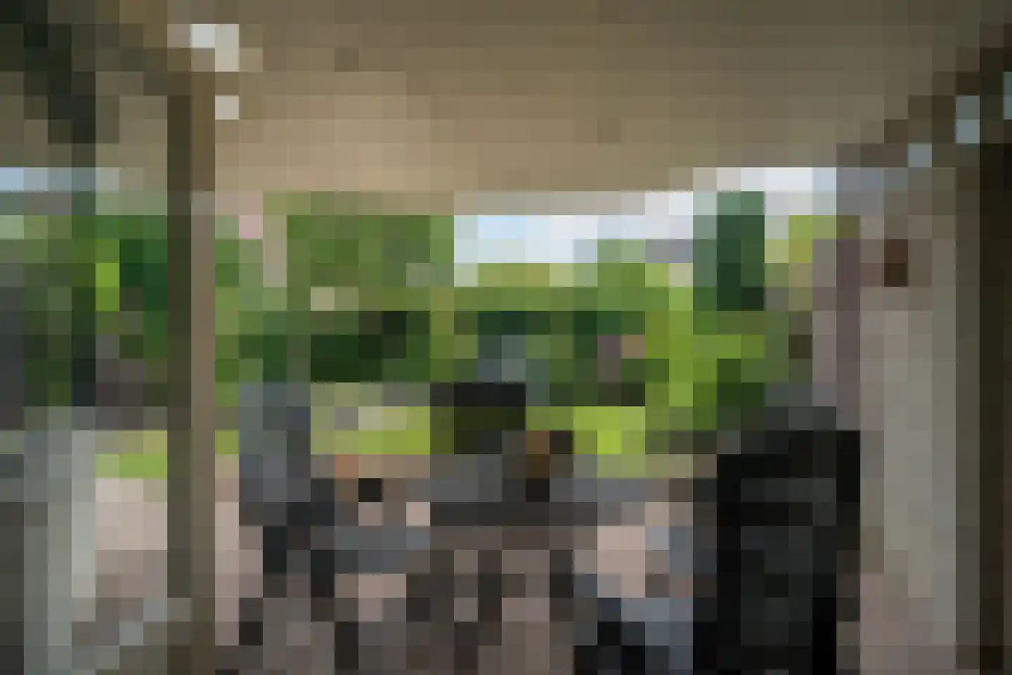 Zilveren Maan 5 Deurne thumbnail 18