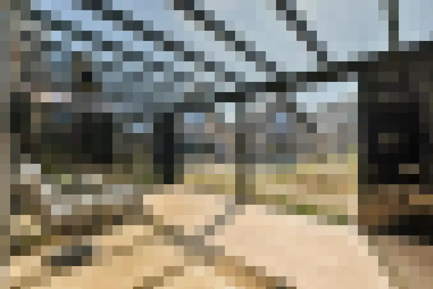 Zilveren Medaillepad 5 Almere thumbnail 11