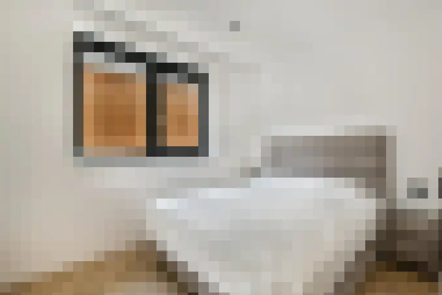 Zilveren Medaillepad 5 Almere thumbnail 14
