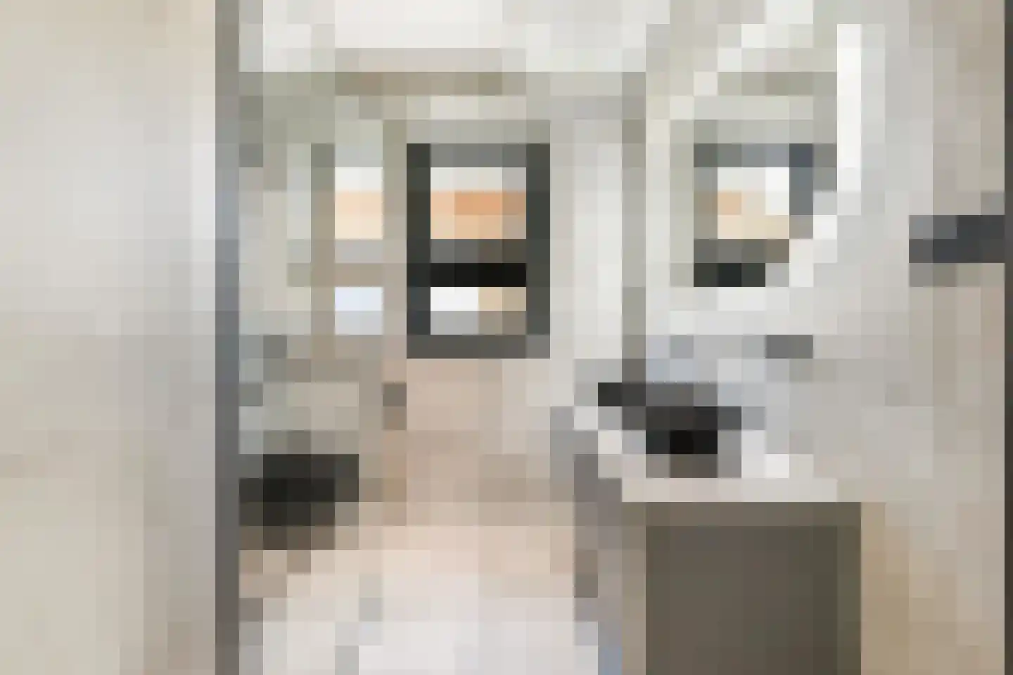 Zilveren Medaillepad 5 Almere thumbnail 16