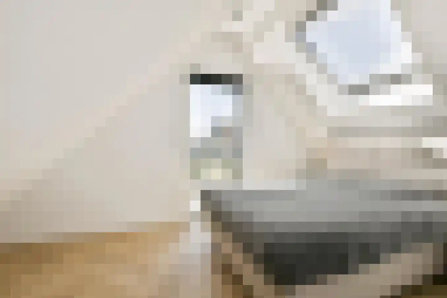 Zilveren Medaillepad 5 Almere thumbnail 22