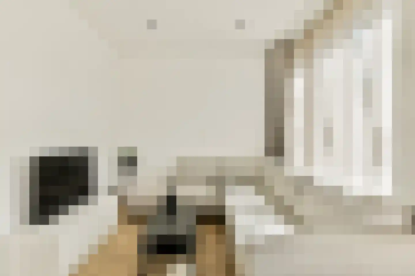 Zilveren Medaillepad 5 Almere thumbnail 4