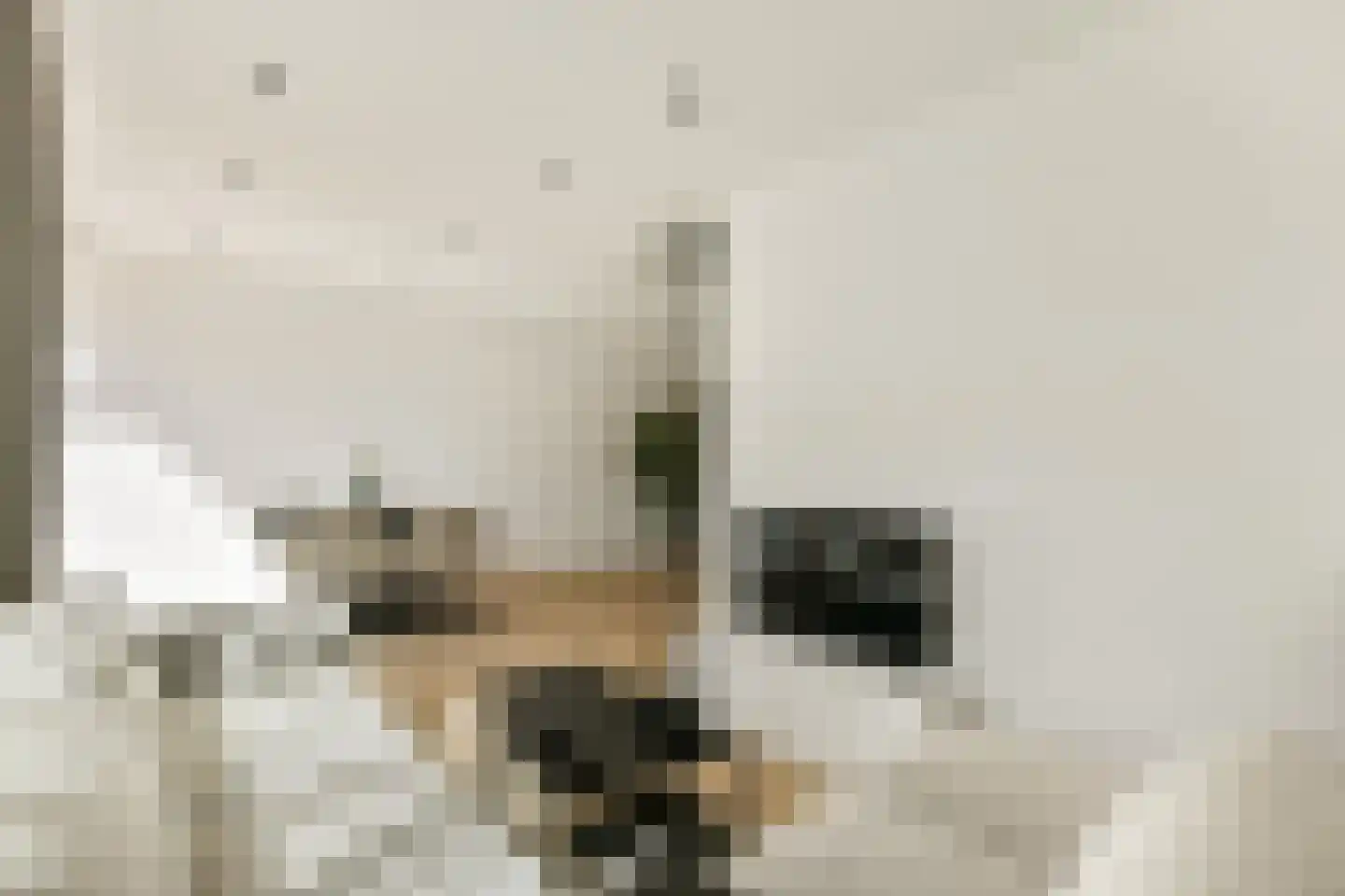 Zilveren Medaillepad 5 Almere thumbnail 5