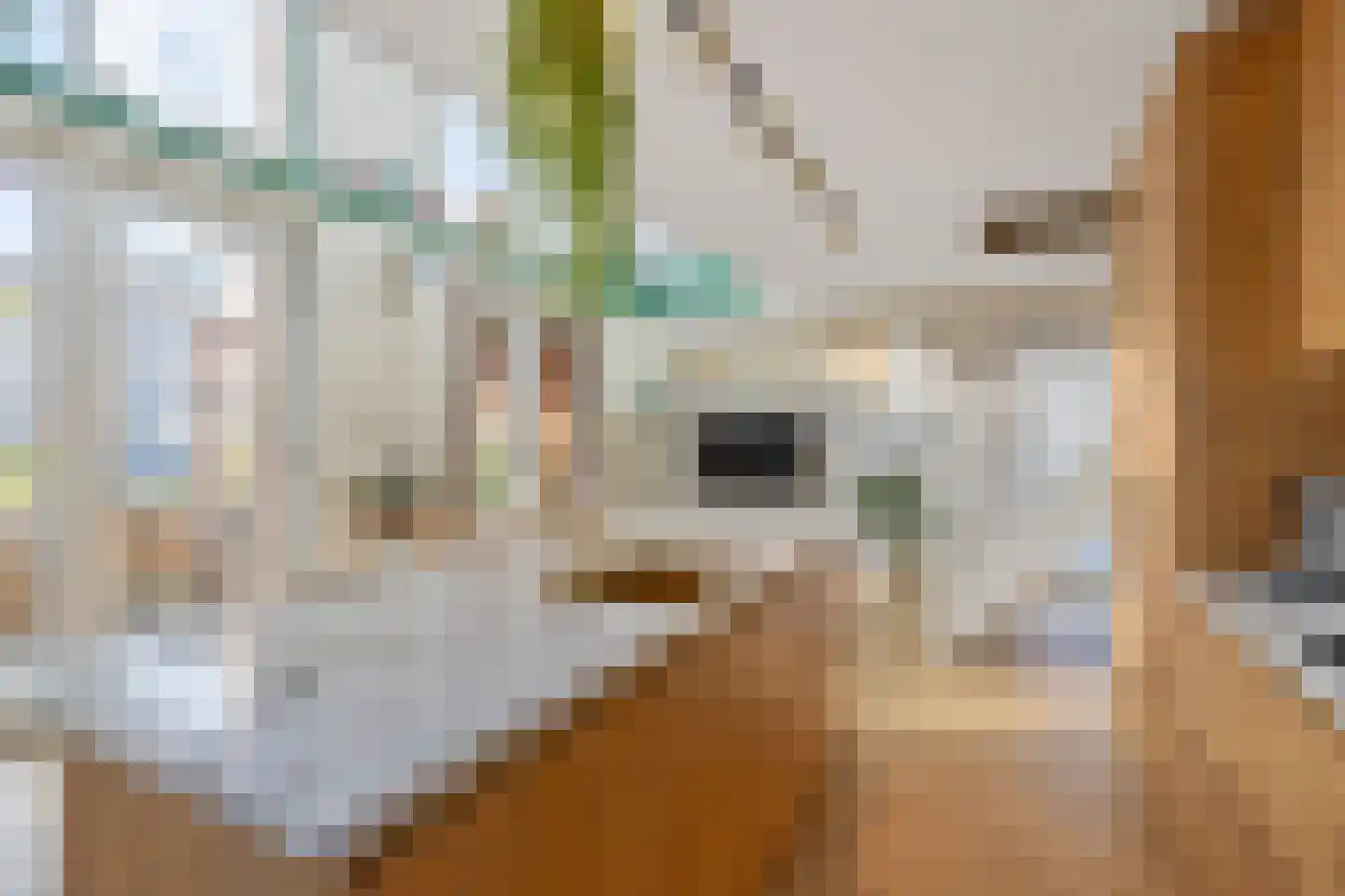 Zilveren Medaillepad 9 Almere thumbnail 13