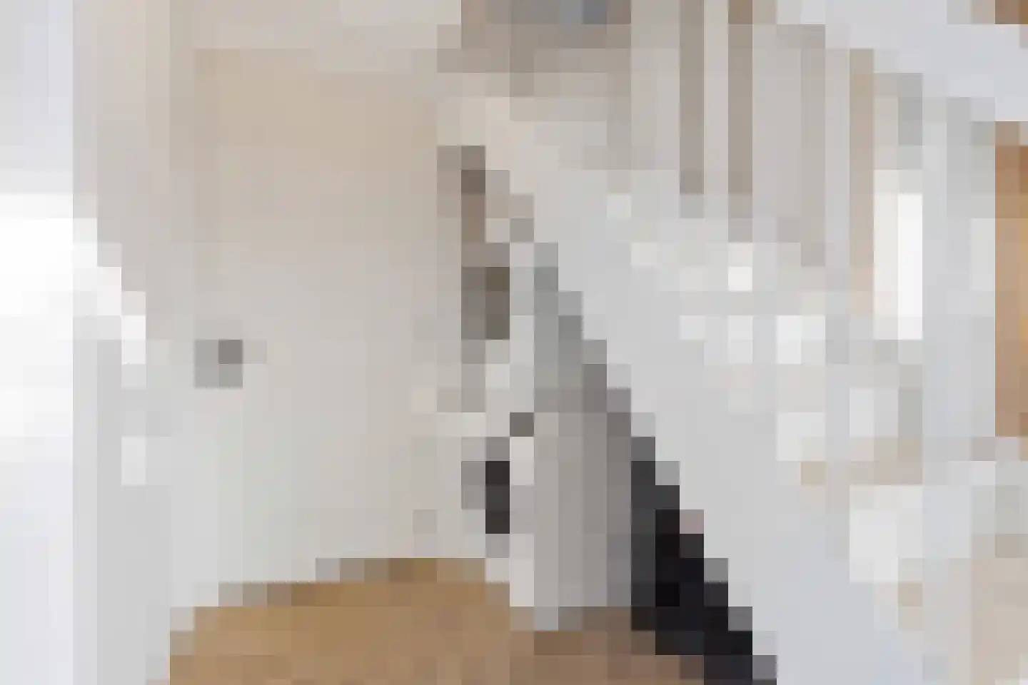 Zilveren Medaillepad 9 Almere thumbnail 15