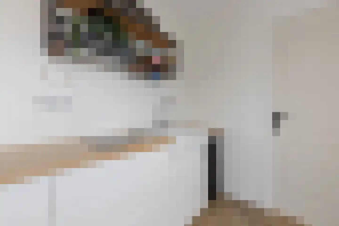Zilveren Medaillepad 9 Almere thumbnail 17