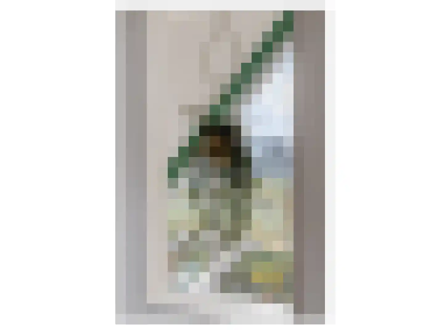 Zilveren Medaillepad 9 Almere thumbnail 27