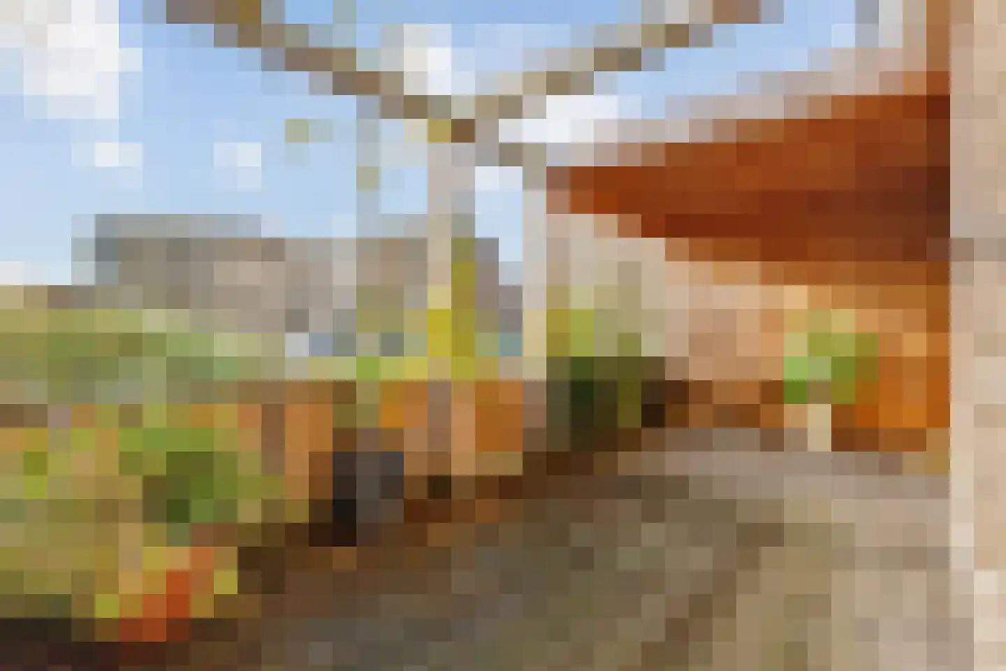 Zilveren Medaillepad 9 Almere thumbnail 31