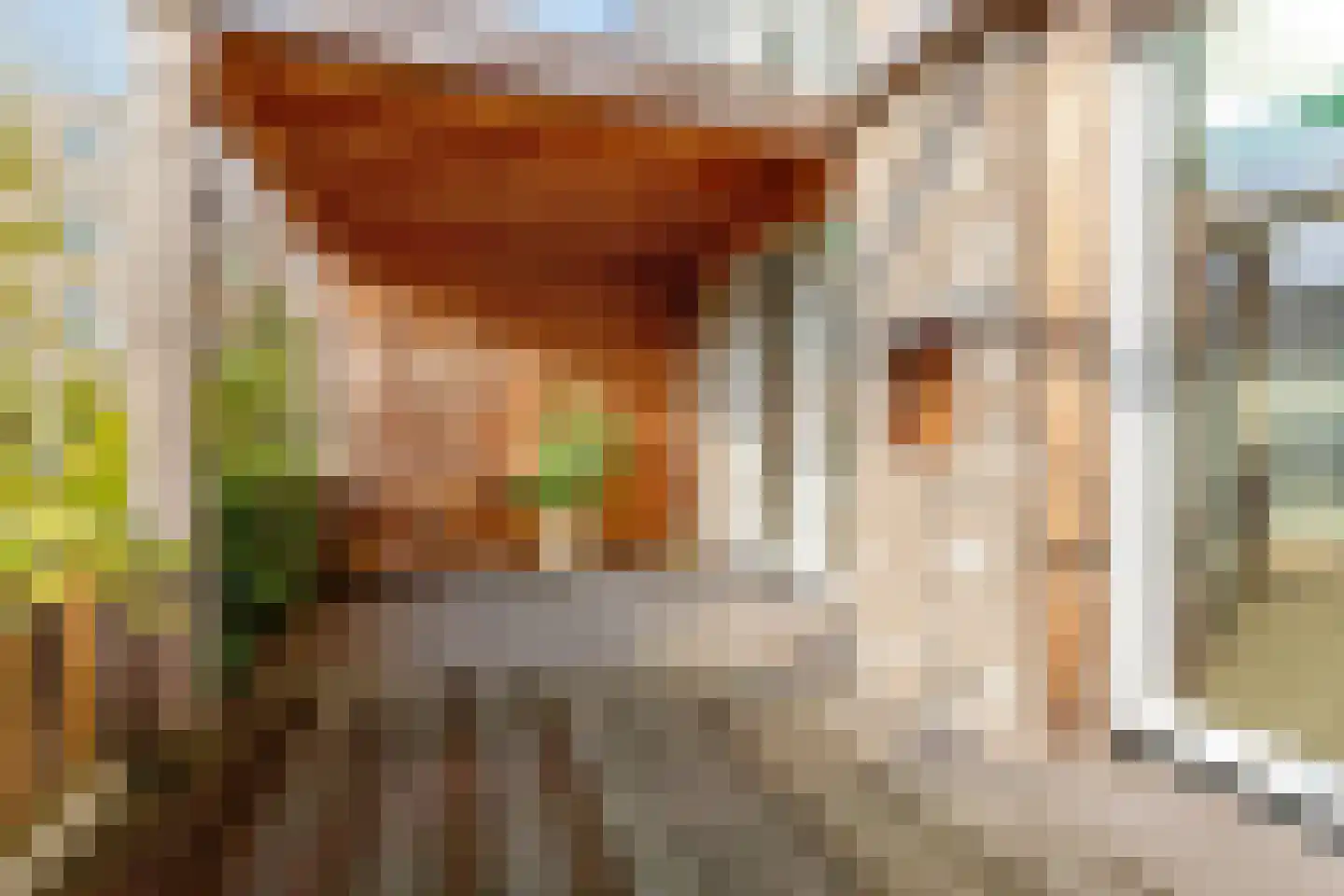 Zilveren Medaillepad 9 Almere thumbnail 32