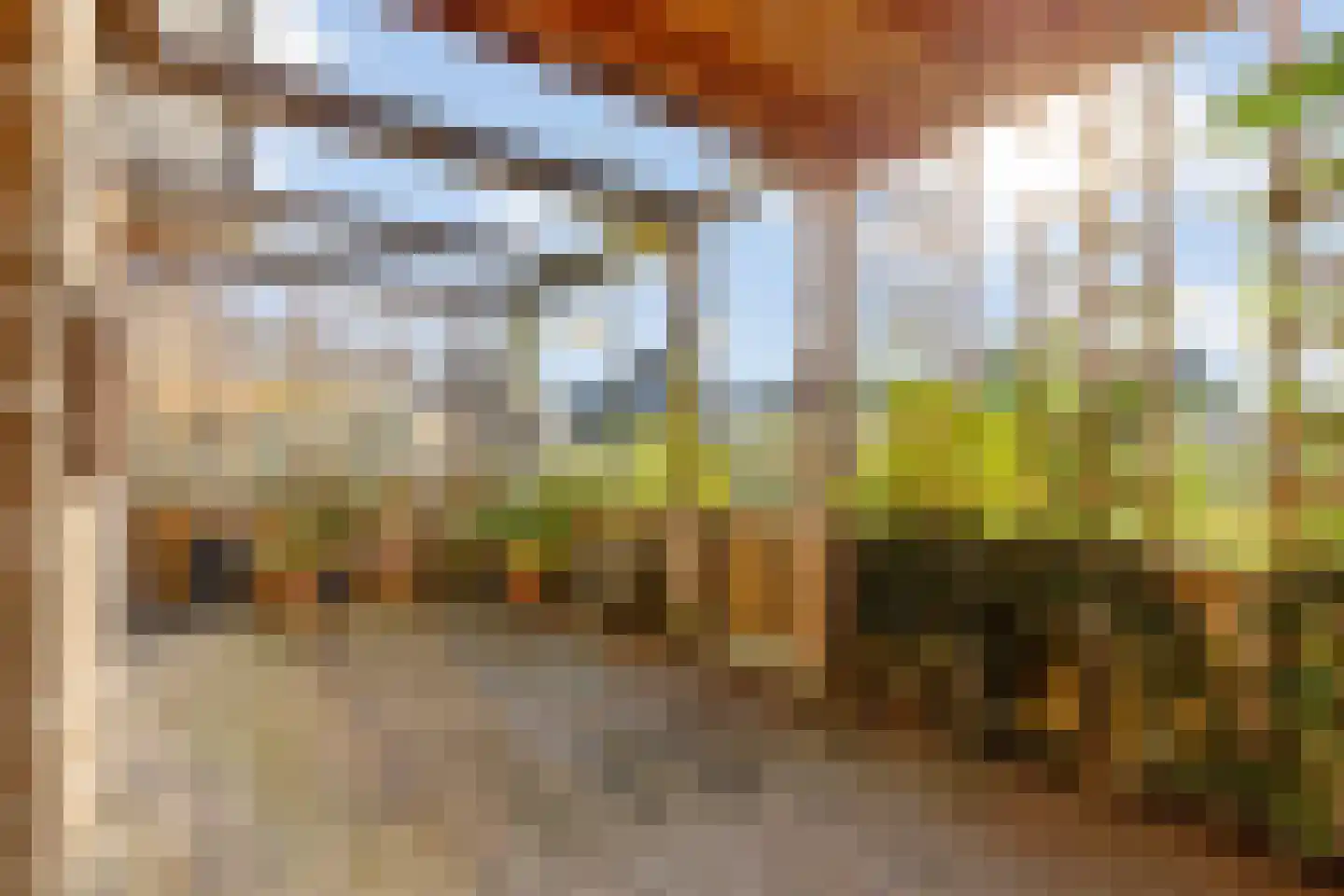 Zilveren Medaillepad 9 Almere thumbnail 33