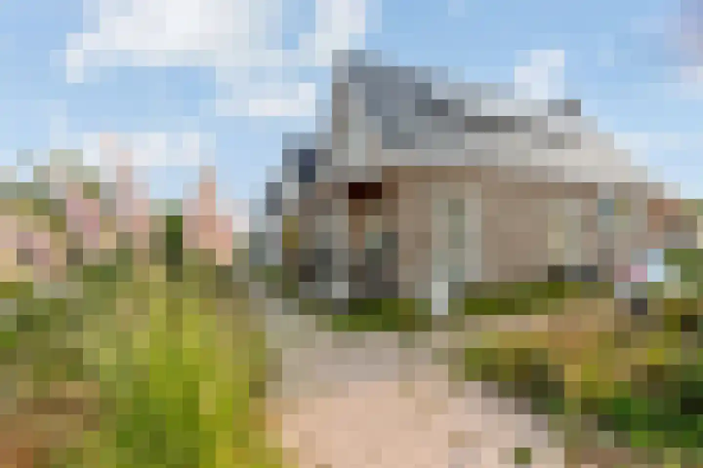 Zilveren Medaillepad 9 Almere thumbnail 4