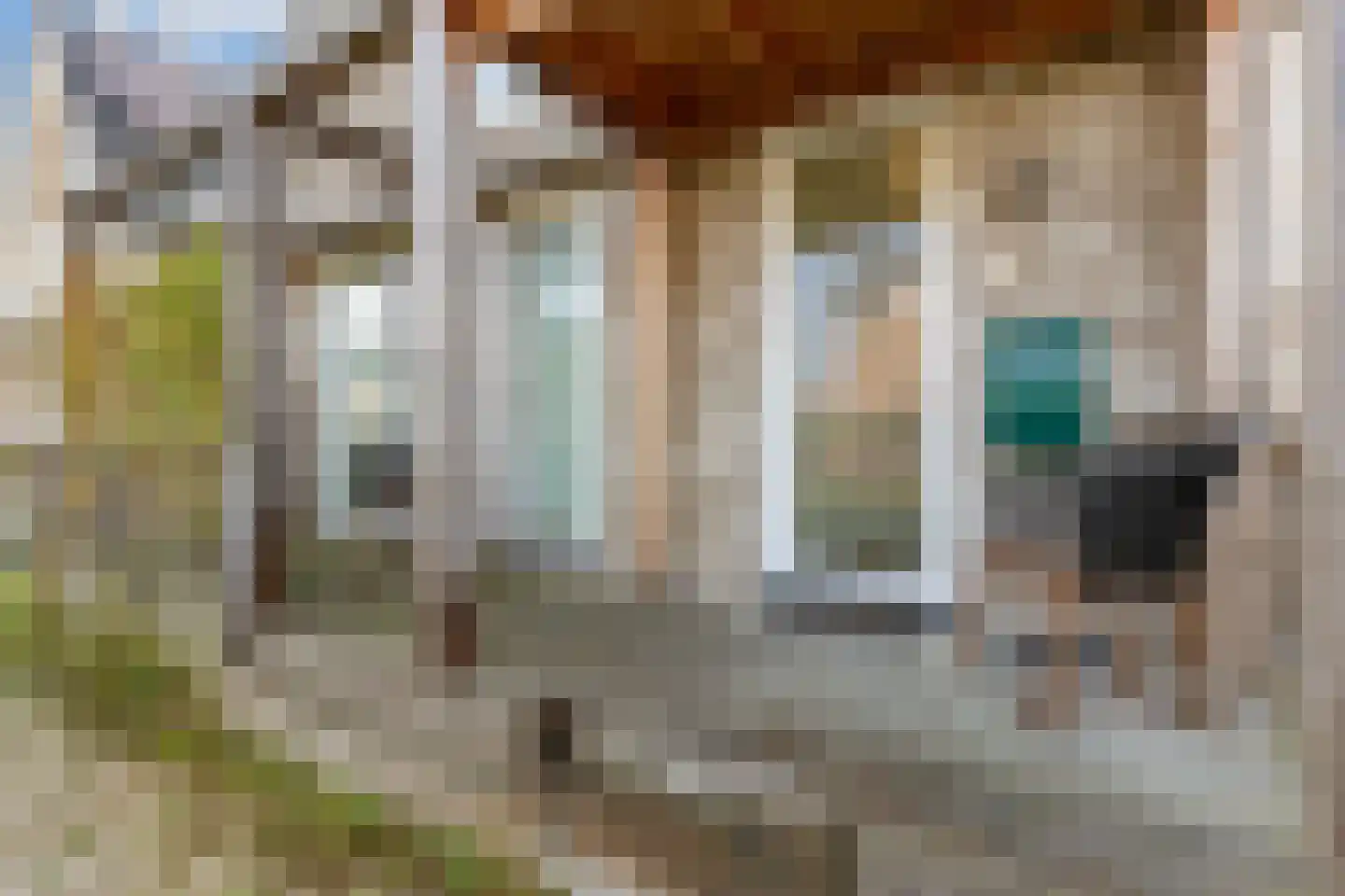 Zilveren Medaillepad 9 Almere thumbnail 5