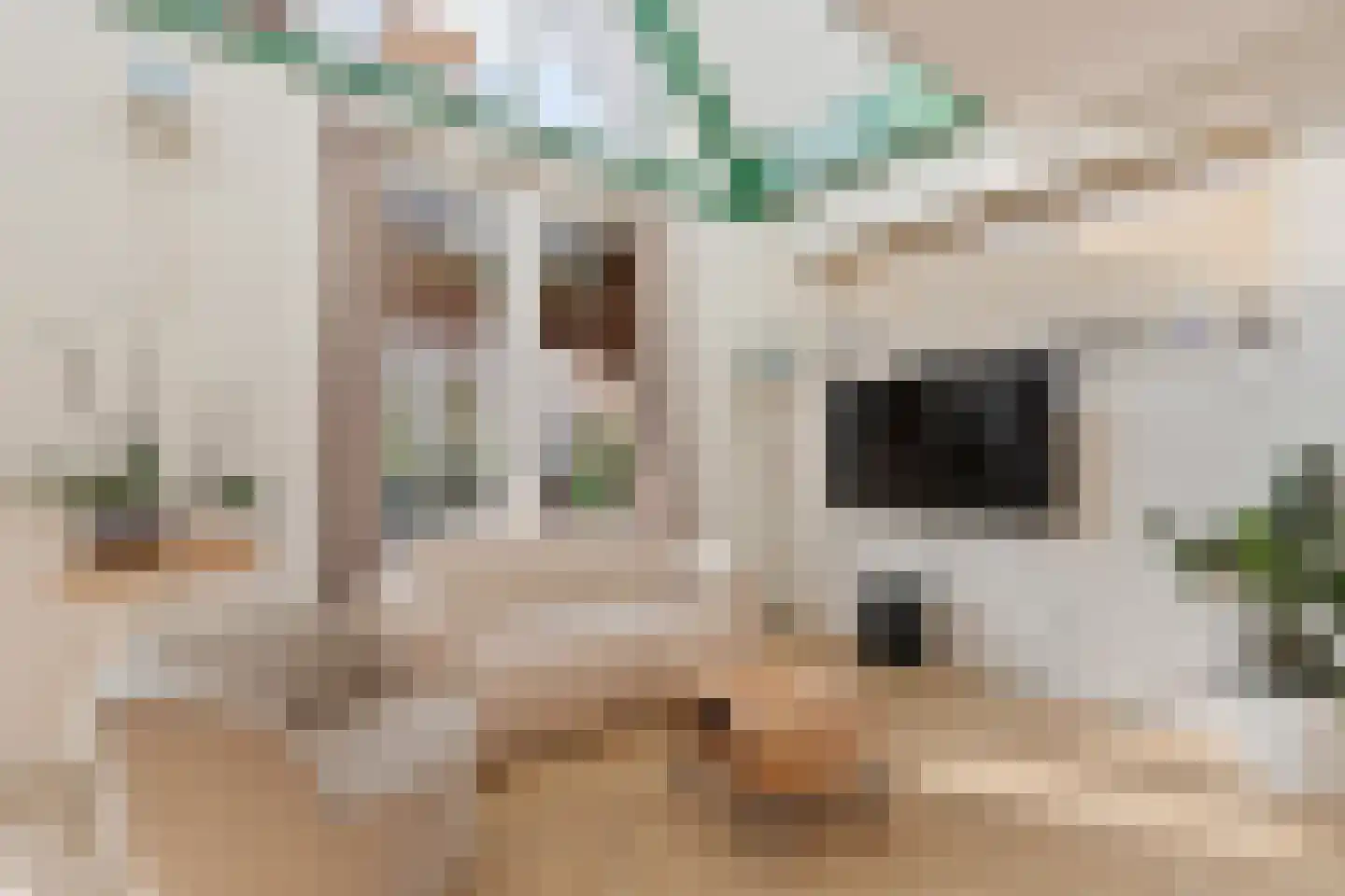 Zilveren Medaillepad 9 Almere thumbnail 8