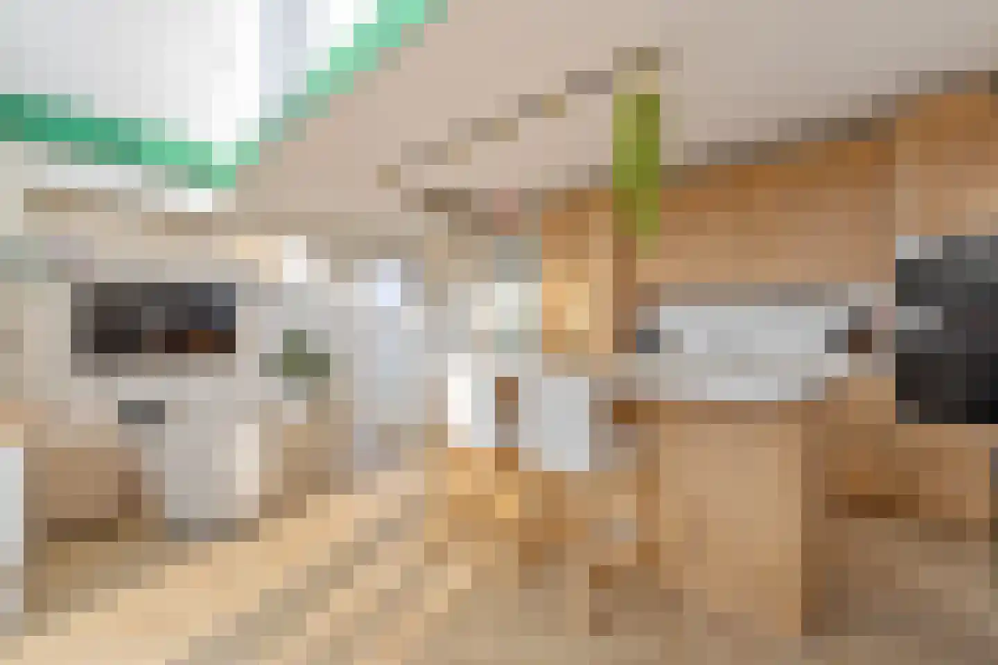 Zilveren Medaillepad 9 Almere thumbnail 9