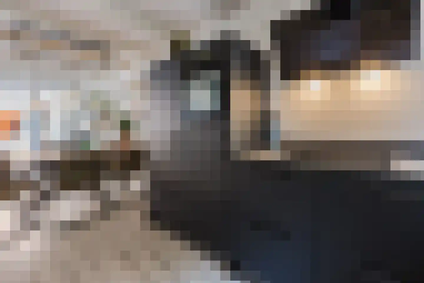 Zilveren Rijder 3 Mijdrecht thumbnail 11