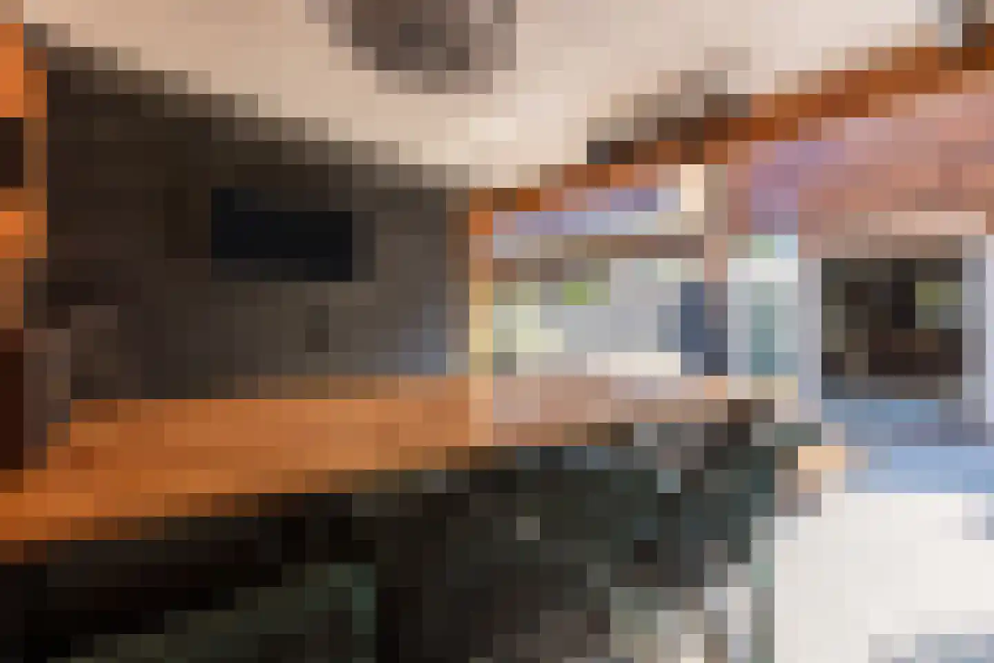 Zilveren Rijder 3 Mijdrecht thumbnail 37