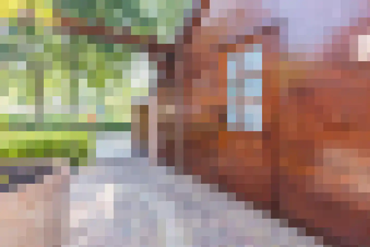 Zilveren Rijder 3 Mijdrecht thumbnail 40