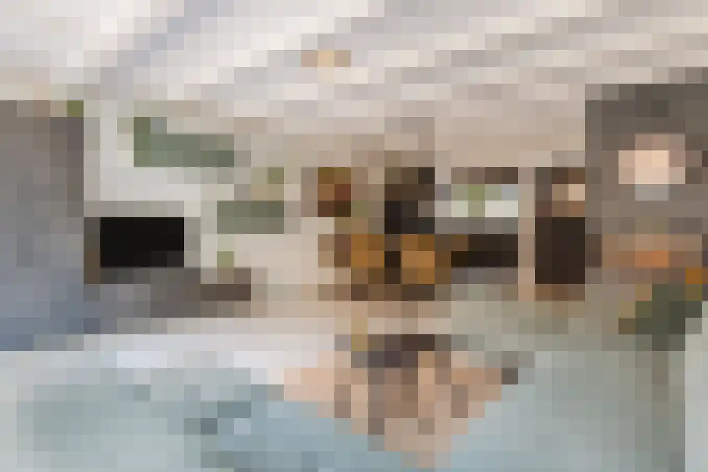 Zilveren Rijder 3 Mijdrecht thumbnail 5