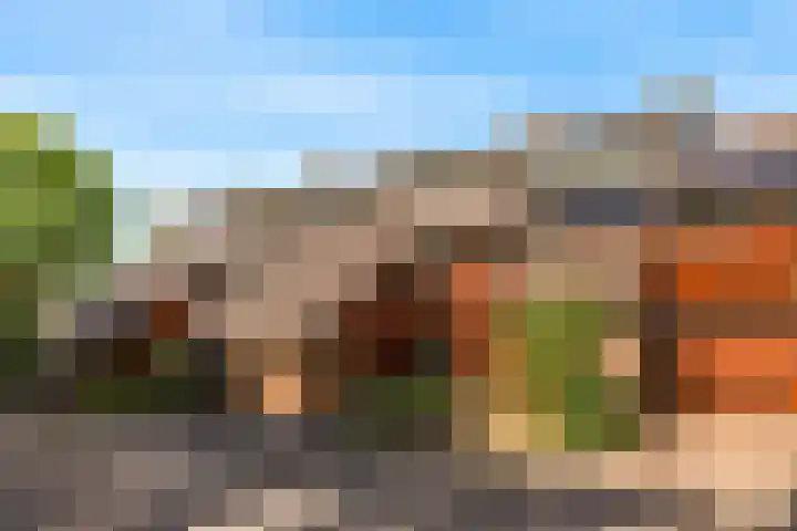 Zilveren Rijder 7 in Mijdrecht