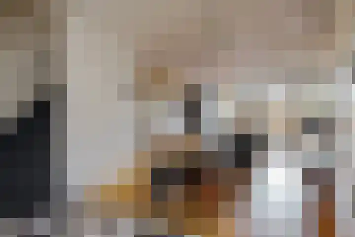 Zilveren Rijder 7 Mijdrecht thumbnail 10
