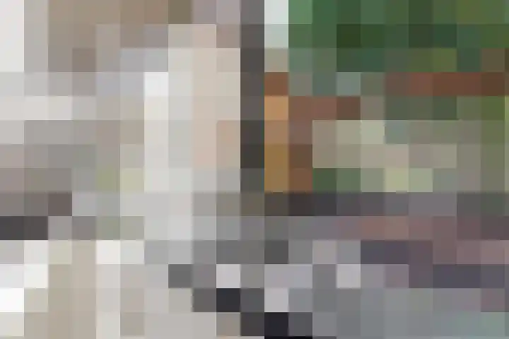 Zilveren Rijder 7 Mijdrecht thumbnail 12