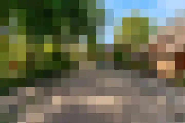 Zilveren Rijder 7 Mijdrecht thumbnail 39