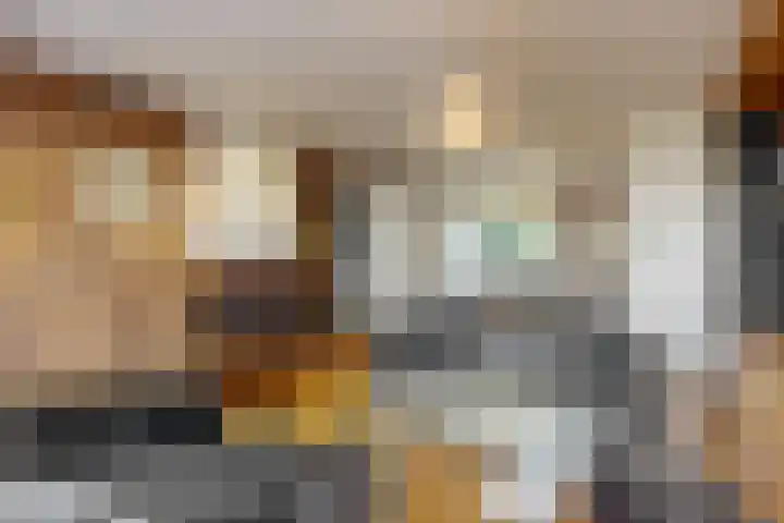 Zilveren Rijder 7 Mijdrecht thumbnail 6