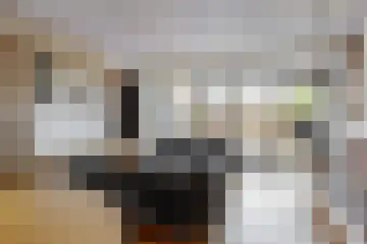 Zilveren Rijder 7 Mijdrecht thumbnail 7