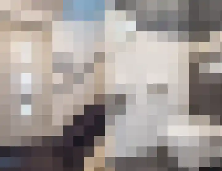 Zilveresdoorn 14 Cuijk thumbnail 15