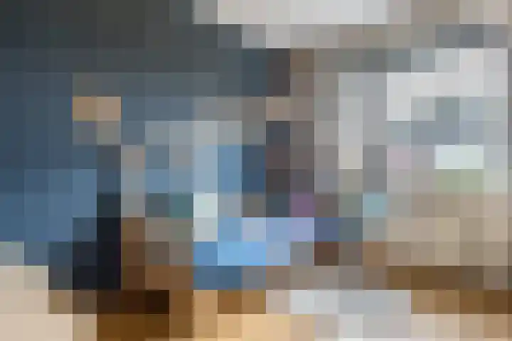 Zilveresdoorn 14 Cuijk thumbnail 18