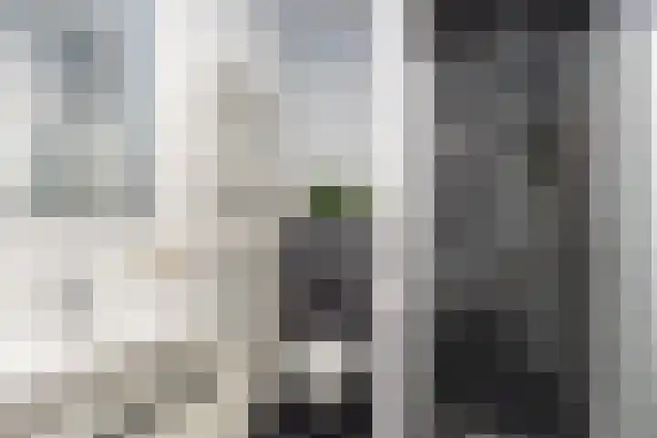 Zilveresdoorn 14 Cuijk thumbnail 22