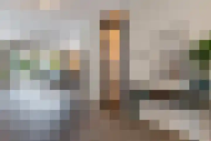 Zilveresdoorn 14 Cuijk thumbnail 9