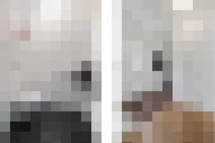 Zilveresdoorn 19 Cuijk thumbnail 10