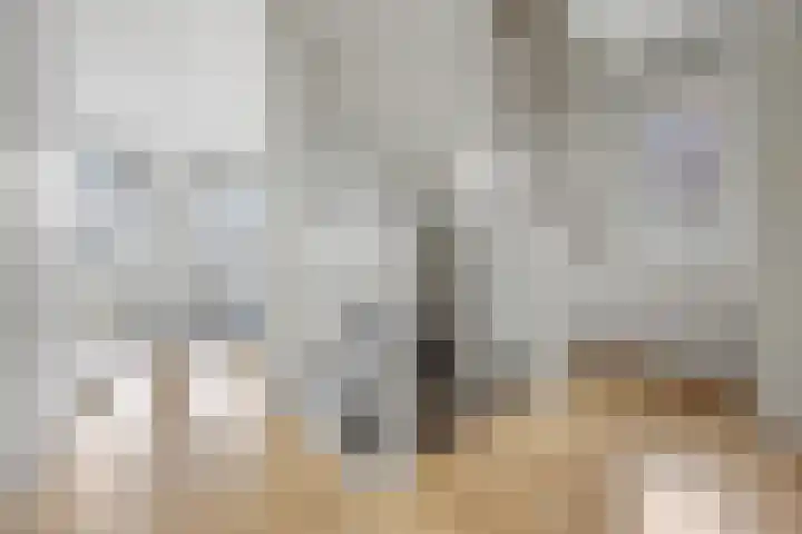 Zilveresdoorn 19 Cuijk thumbnail 11