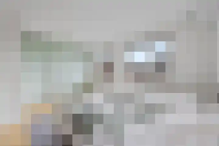 Zilveresdoorn 19 Cuijk thumbnail 12