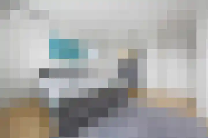 Zilveresdoorn 19 Cuijk thumbnail 13