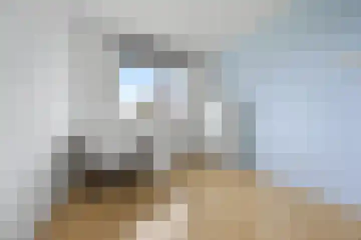 Zilveresdoorn 19 Cuijk thumbnail 15