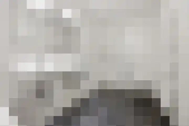 Zilveresdoorn 19 Cuijk thumbnail 16