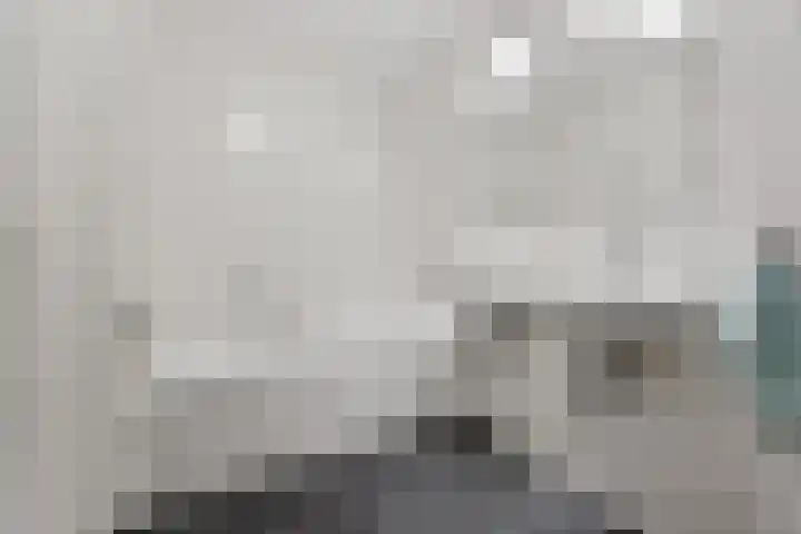 Zilveresdoorn 19 Cuijk thumbnail 17