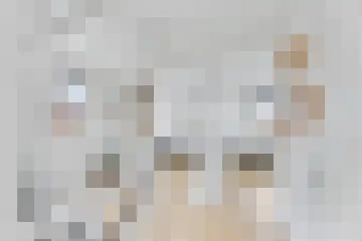 Zilveresdoorn 19 Cuijk thumbnail 18