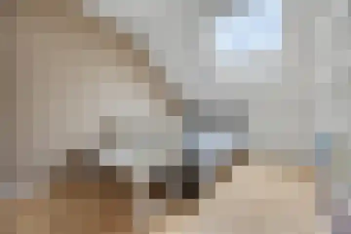 Zilveresdoorn 19 Cuijk thumbnail 20