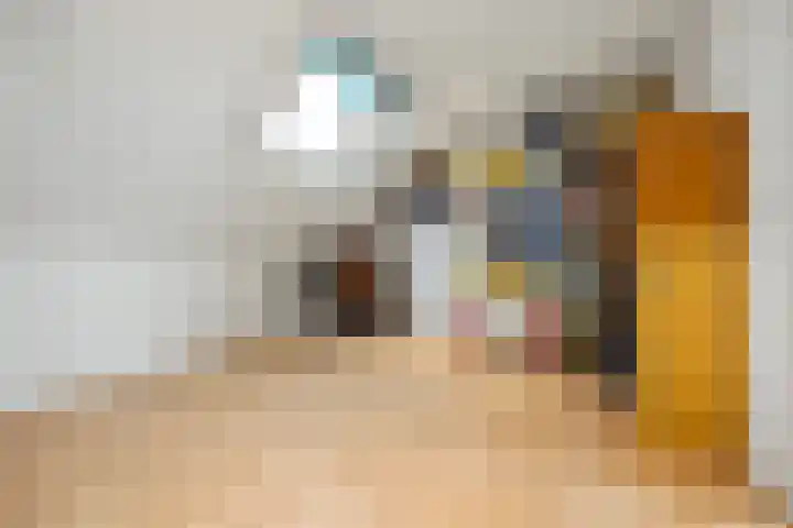 Zilveresdoorn 19 Cuijk thumbnail 23