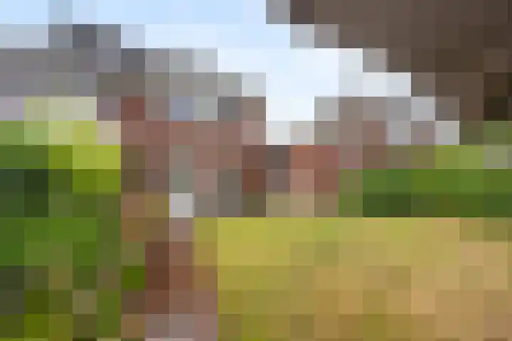 Zilveresdoorn 19 Cuijk thumbnail 24