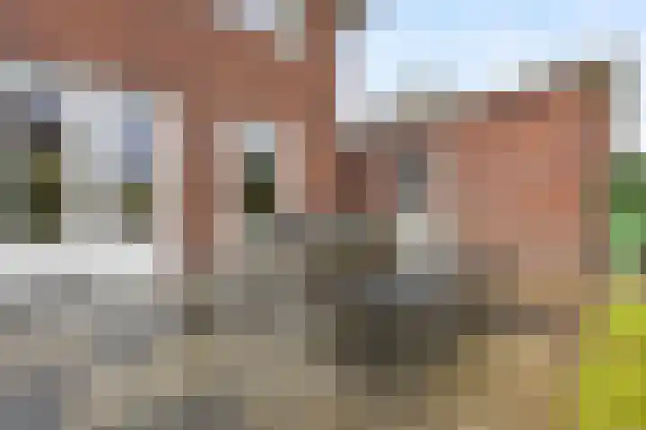 Zilveresdoorn 19 Cuijk thumbnail 25