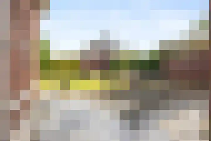 Zilveresdoorn 19 Cuijk thumbnail 26