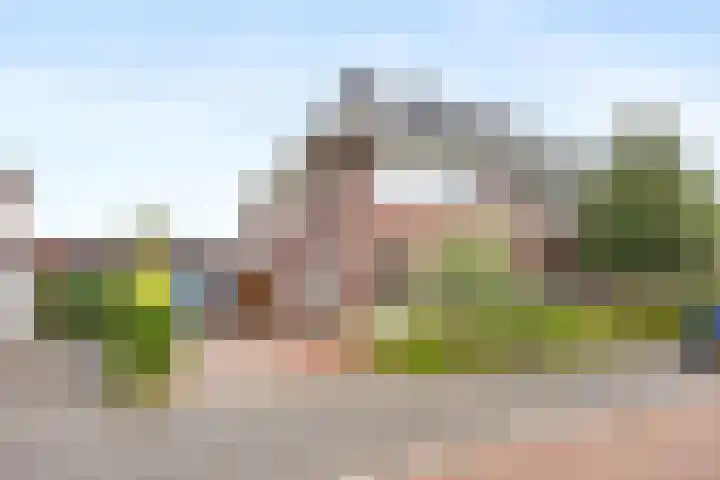 Zilveresdoorn 19 Cuijk thumbnail 27