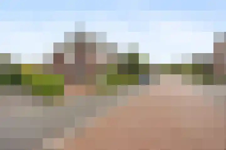 Zilveresdoorn 19 Cuijk thumbnail 28